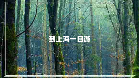 到上海一日游 到上海一日游