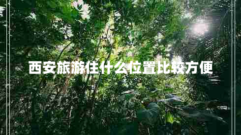 西安旅游住什么位置比較方便