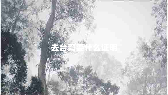 去臺(tái)灣要什么證明