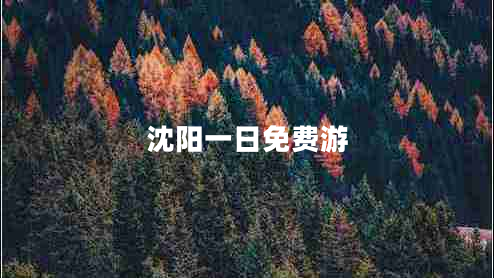 沈陽一日免費游