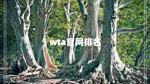 wta官網(wǎng)排名 wta官網(wǎng)排名