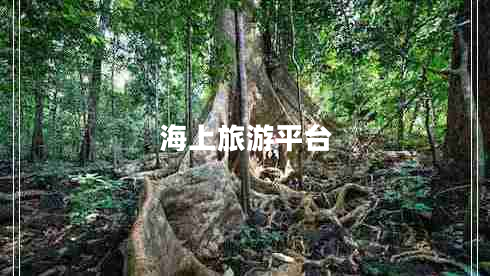 海上旅游平臺(tái)
