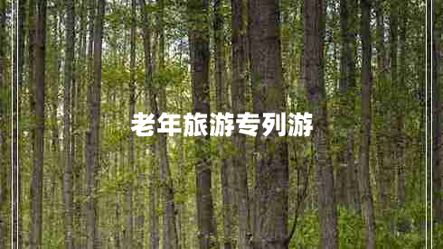 老年旅游專列游