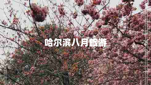 哈爾濱八月旅游 哈爾濱八月旅游