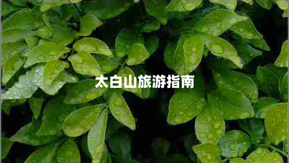 太白山旅游指南