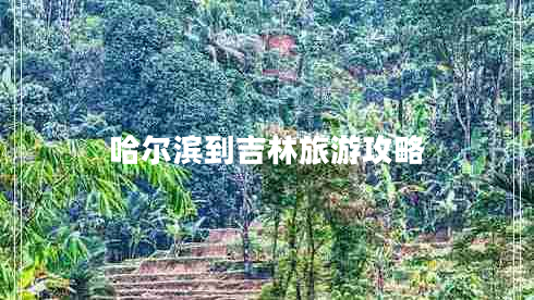 哈爾濱到吉林旅游攻略