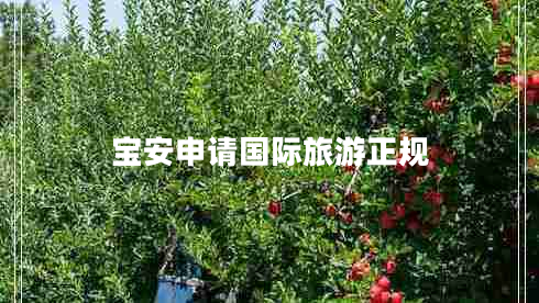 寶安申請(qǐng)國(guó)際旅游正規(guī)