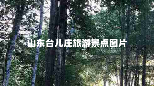 山東臺兒莊旅游景點圖片