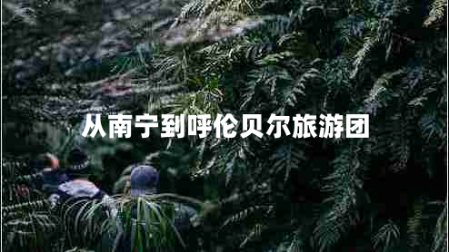 從南寧到呼倫貝爾旅游團