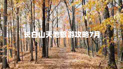 長白山天池旅游攻略7月