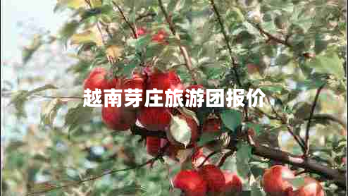 越南芽莊旅游團報價