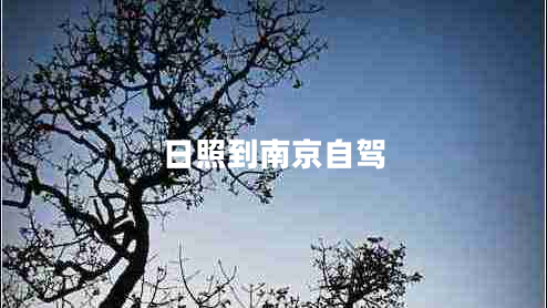 日照到南京自駕