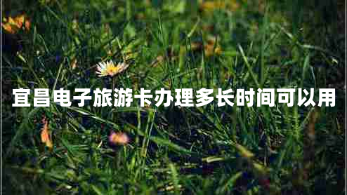 宜昌電子旅游卡辦理多長時間可以用