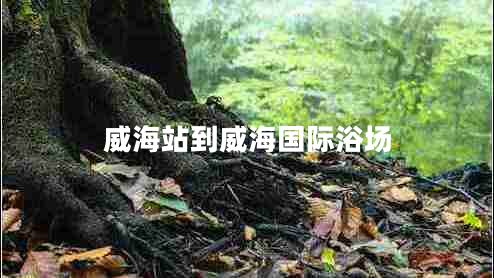 威海站到威海國際浴場