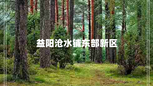 益陽滄水鋪東部新區(qū)