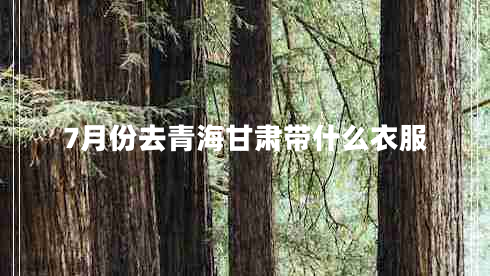 7月份去青海甘肅帶什么衣服