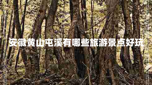 安徽黃山屯溪有哪些旅游景點好玩