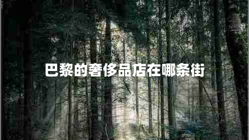 巴黎的奢侈品店在哪條街