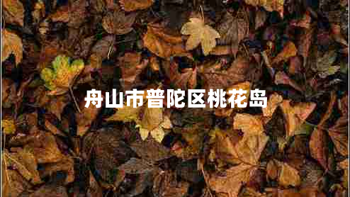 舟山市普陀區(qū)桃花島