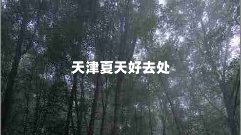 天津夏天好去處