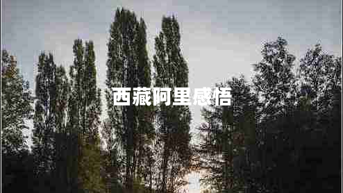 西藏阿里感悟 西藏阿里感悟