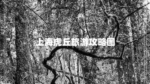 上?；⑶鹇糜喂ヂ詧D