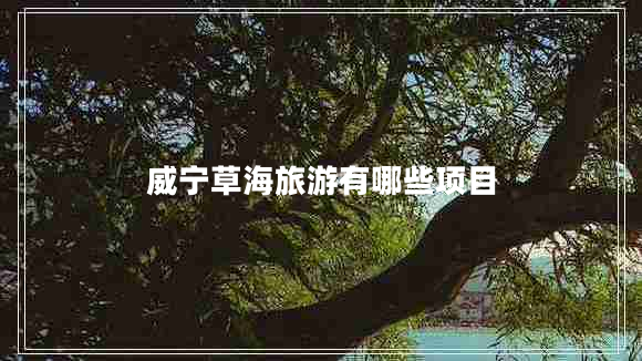 威寧草海旅游有哪些項目 威寧草海旅游有哪些項目