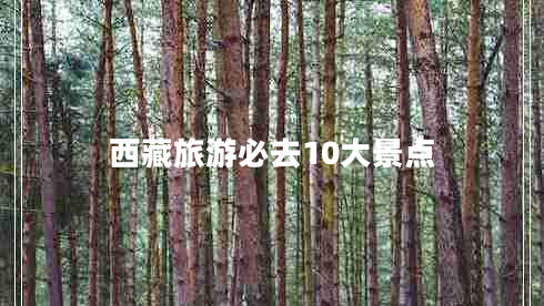 西藏旅游必去10大景點(diǎn)