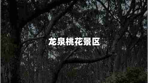 龍泉桃花景區(qū)