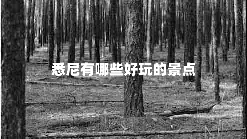 悉尼有哪些好玩的景點