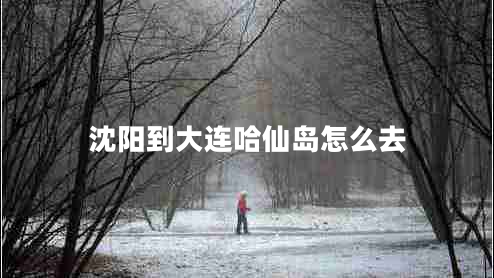 沈陽到大連哈仙島怎么去 沈陽到大連哈仙島怎么去