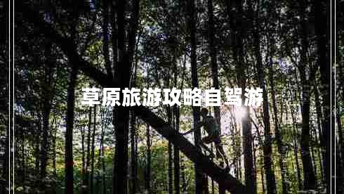 草原旅游攻略自駕游