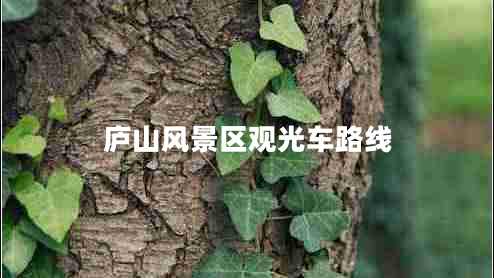 廬山風(fēng)景區(qū)觀光車(chē)路線