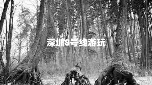 深圳8號線游玩
