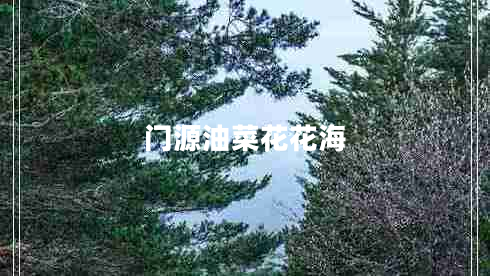 門(mén)源油菜花花海
