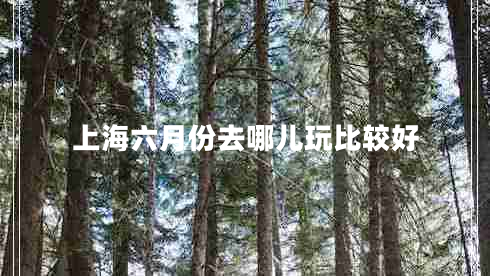 上海六月份去哪兒玩比較好