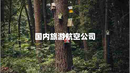 國內(nèi)旅游航空公司