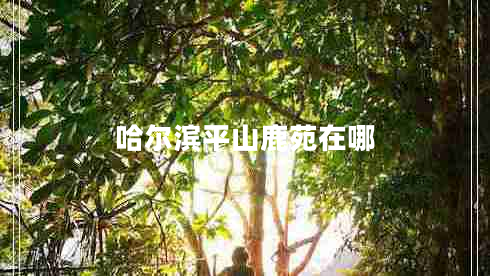 哈爾濱平山鹿苑在哪