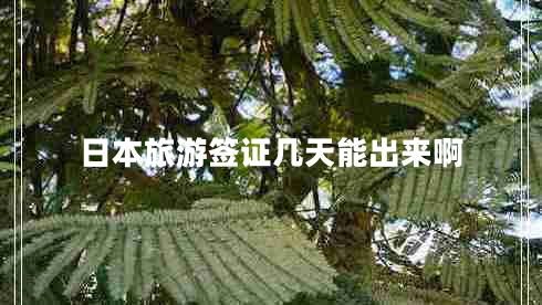 日本旅游簽證幾天能出來啊