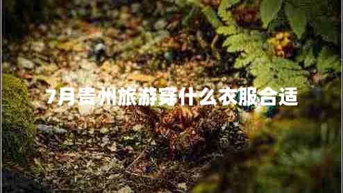 7月貴州旅游穿什么衣服合適 7月貴州旅游穿什么衣服合適