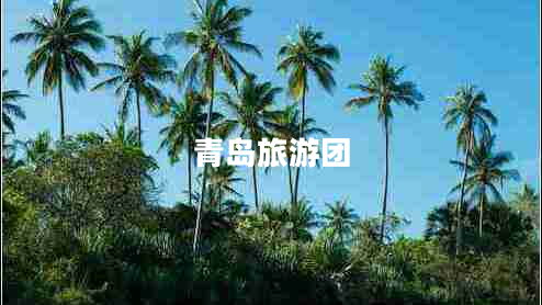 青島旅游團(tuán)