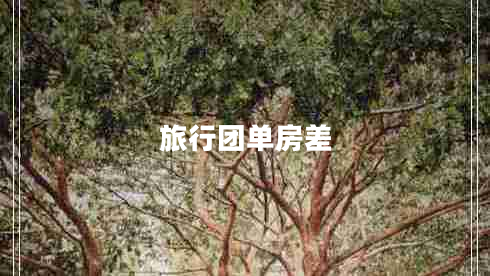 旅行團(tuán)單房差