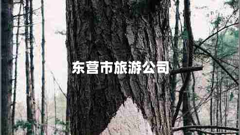 東營(yíng)市旅游公司 東營(yíng)市旅游公司