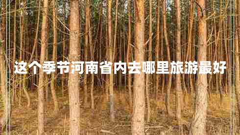 這個季節(jié)河南省內(nèi)去哪里旅游最好 這個季節(jié)河南省內(nèi)去哪里旅游最好
