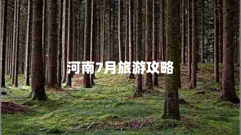 河南7月旅游攻略