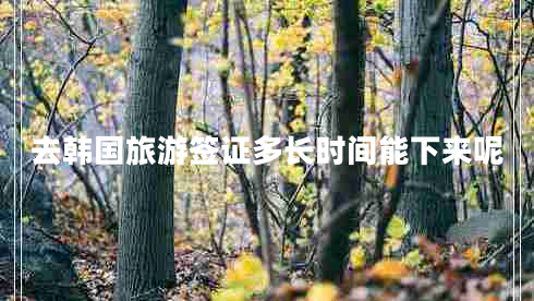 去韓國旅游簽證多長時間能下來呢