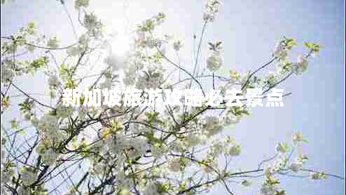 新加坡旅游攻略必去景點(diǎn) 新加坡旅游攻略必去景點(diǎn)