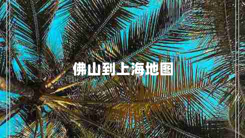 佛山到上海地圖 佛山到上海地圖