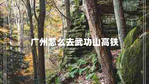 廣州怎么去武功山高鐵