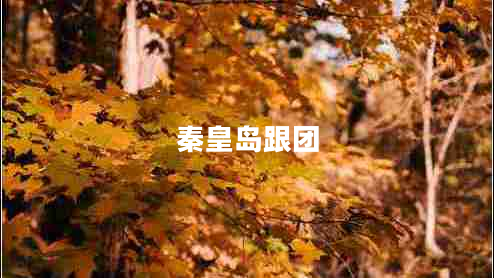 秦皇島跟團(tuán)